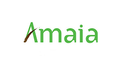 Amaia Land Properties