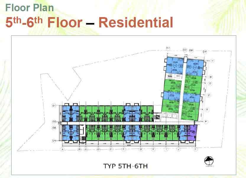 Pinehill Baguio - Floor Plan - 5th - 6th Floor
