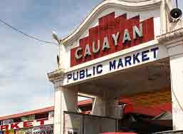 Real Estate in Cauayan