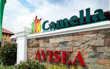 Camella Avisea