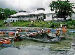 Real Estate in Binangonan