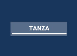 Real Estate in Tanza